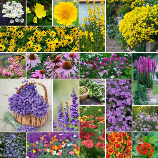 Perennial Pollinator Wildflower Mix
