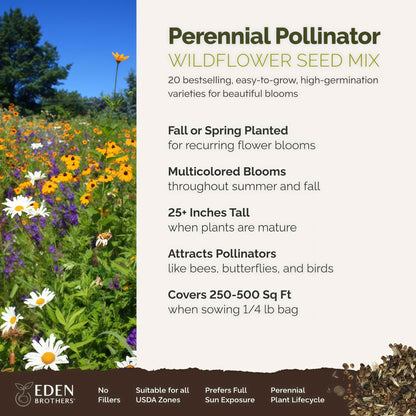 Perennial Pollinator Wildflower Mix