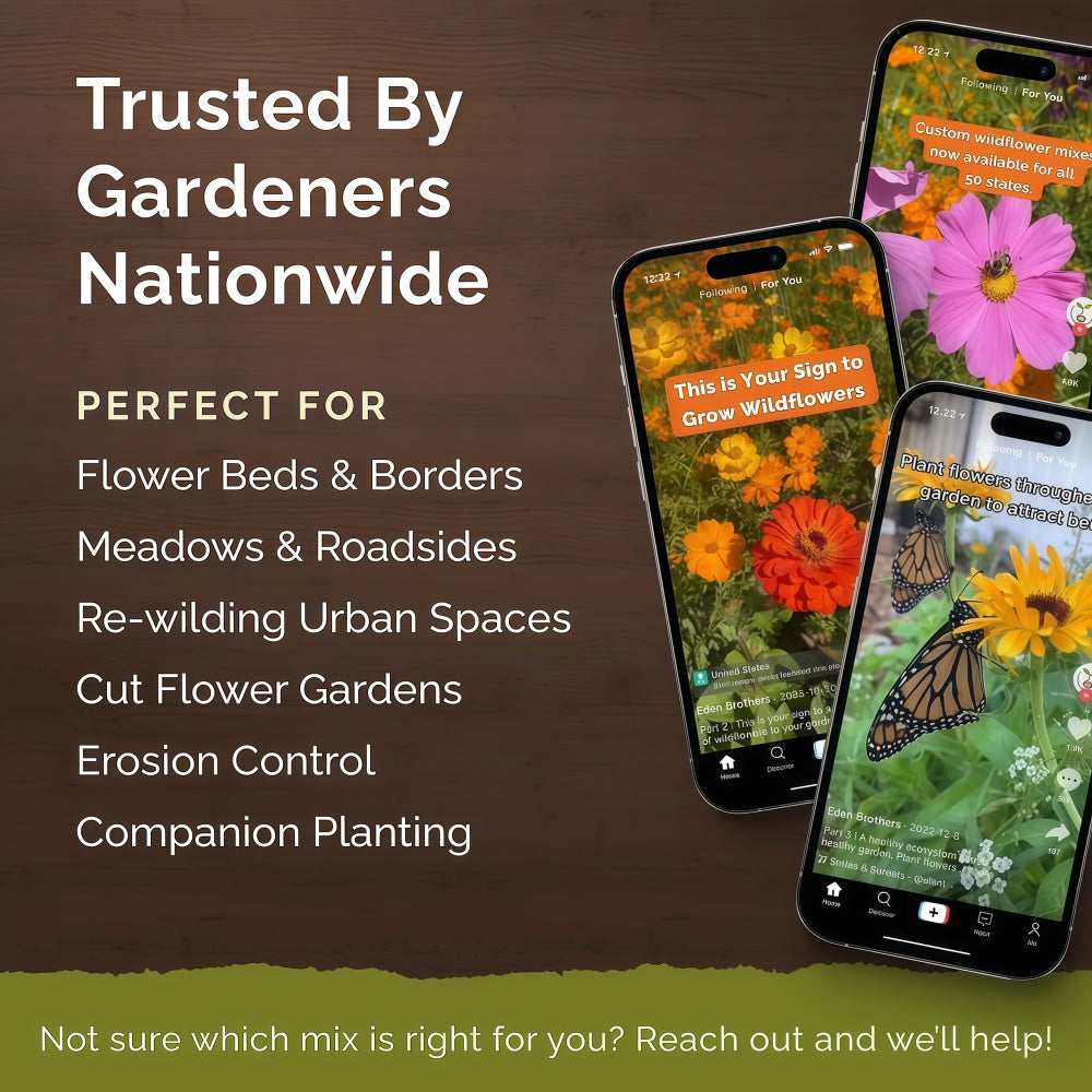Perennial Pollinator Wildflower Mix
