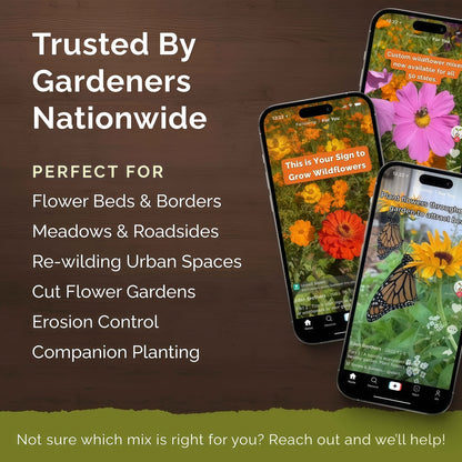 Perennial Pollinator Wildflower Mix